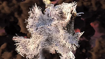 A luminous sculptural figure formed from white particles against dark clouds and red-orange light.