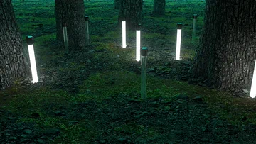 Light: Final scenes — Final still archive (image 10 of 11)