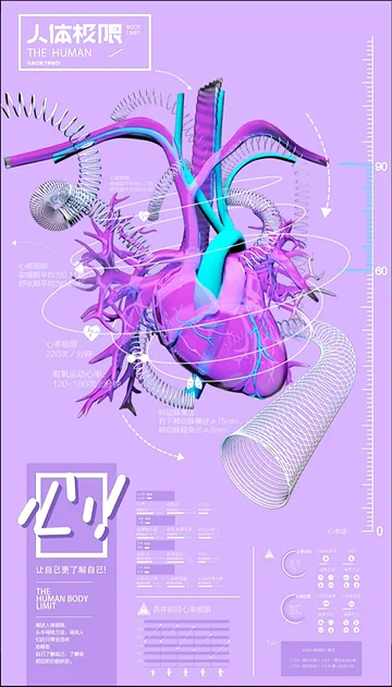 The Human: Original overview — Project archive image (image 1 of 9)